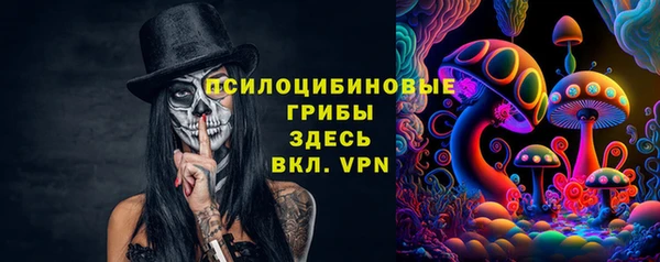 мдпв Новодвинск