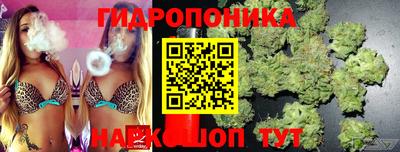 сатива Балахна