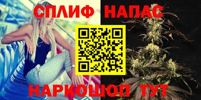 сатива Балахна