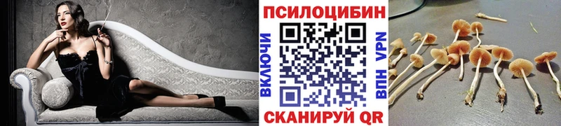 Галлюциногенные грибы мухоморы  Сертолово 