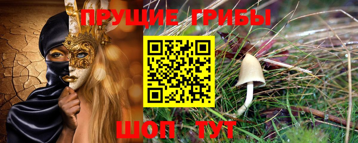 Сертолово  Галлюциногенные грибы GOLDEN TEACHER  Вход с VPN 