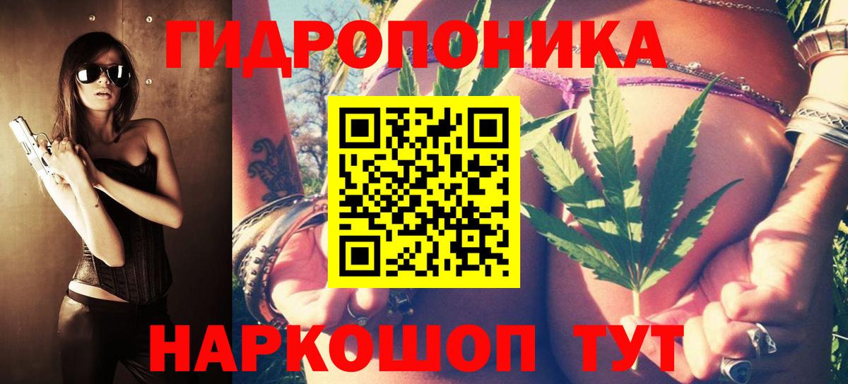 МАРИХУАНА OG Kush  Сертолово  Бошки марихуана конопля  Конопля White Widow 